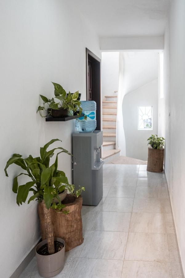 Xiinbal Rooms Bacalar Dış mekan fotoğraf